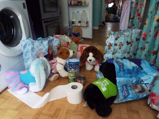 Helping Unpack the Shopping